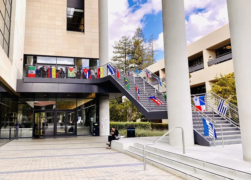 Currículos en rebeldía: la descolonización del saber universitario desde las periferias del Sur Global